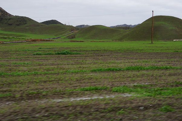 DSC08016