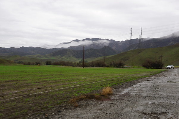 DSC08018