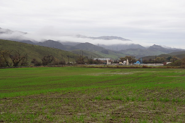 DSC07992