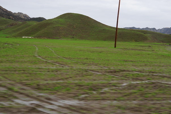 DSC08028