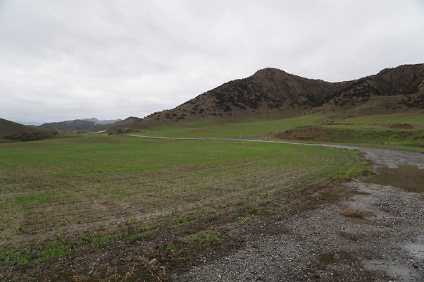 DSC07990