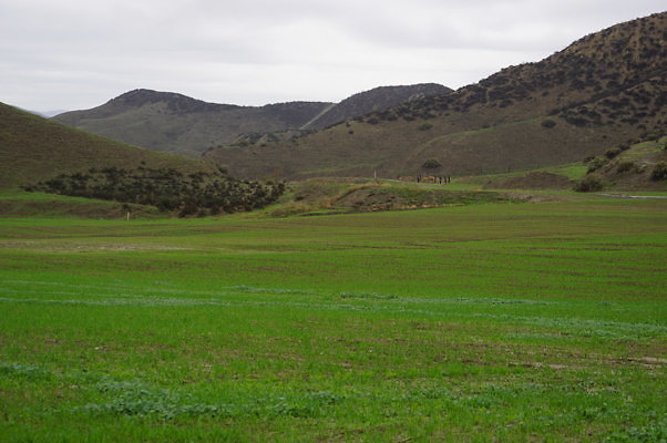 DSC07981