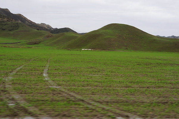 DSC08026