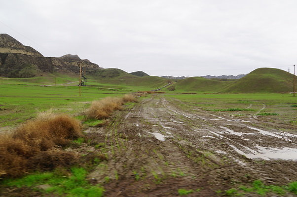 DSC08014