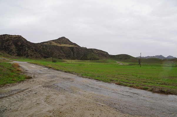 DSC07998