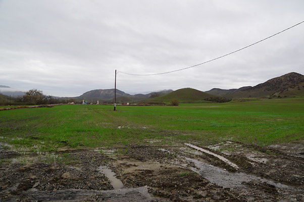 Newhall Land.Agri.Pasture
