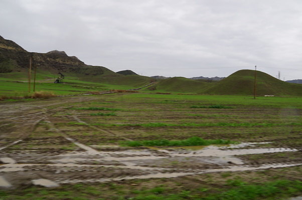DSC08015