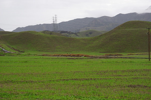 DSC08006