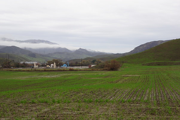 DSC07993