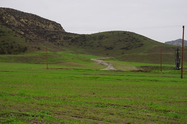 DSC08004