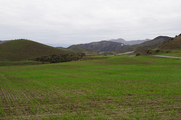 DSC07995
