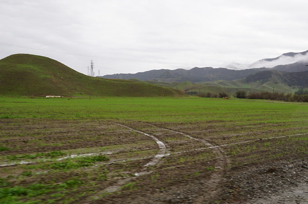 DSC08017