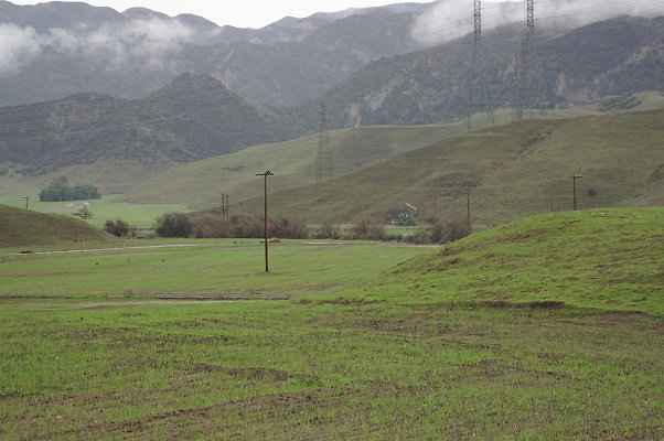 DSC08008