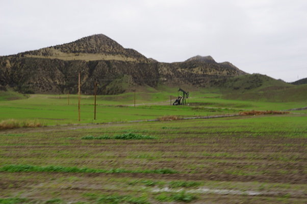 DSC08019