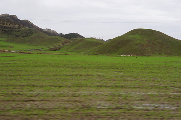 DSC08024