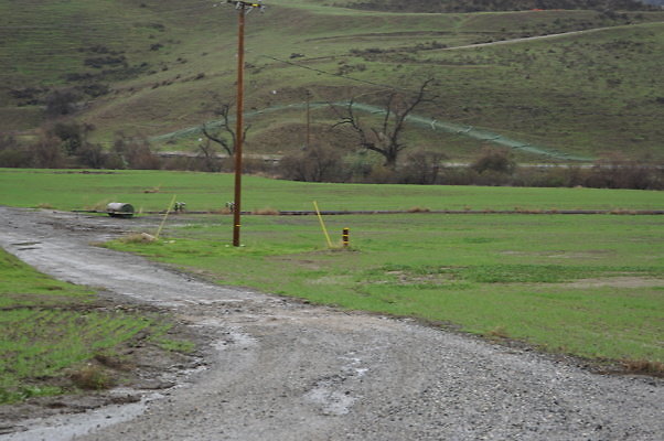 DSC08010