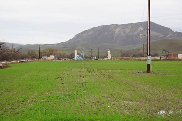 DSC07979