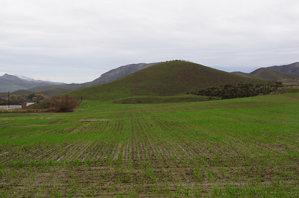 DSC07994
