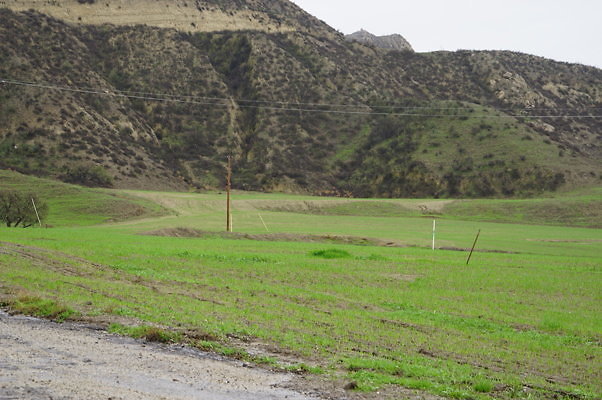 DSC08003