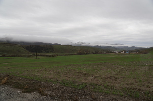 DSC07988