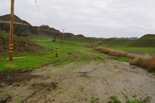 DSC08013