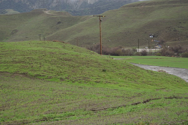 DSC08009