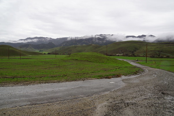 DSC08002
