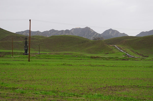 DSC08005