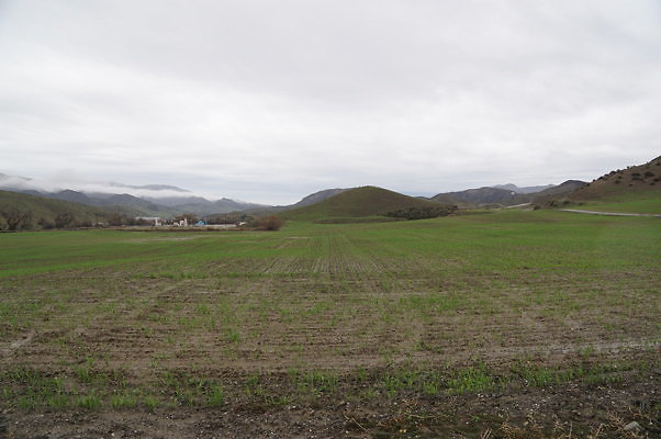 DSC07989