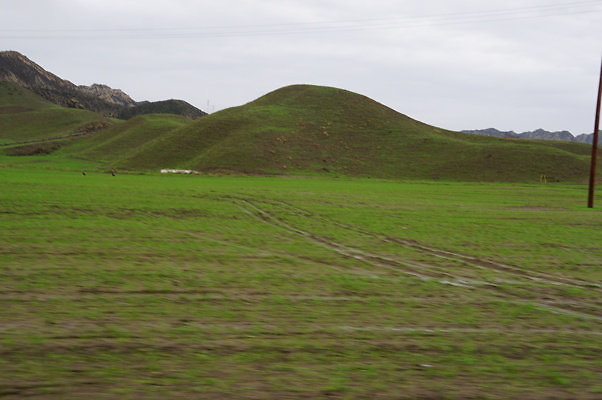 DSC08027