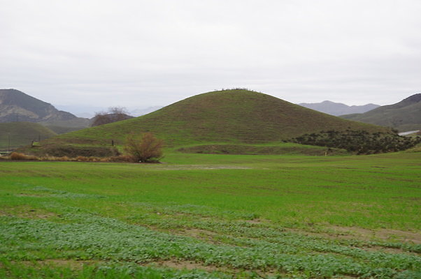 DSC07982