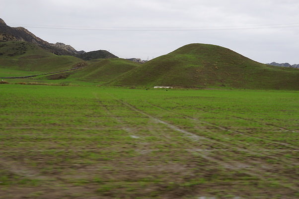 DSC08025