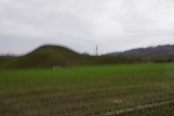 DSC08021