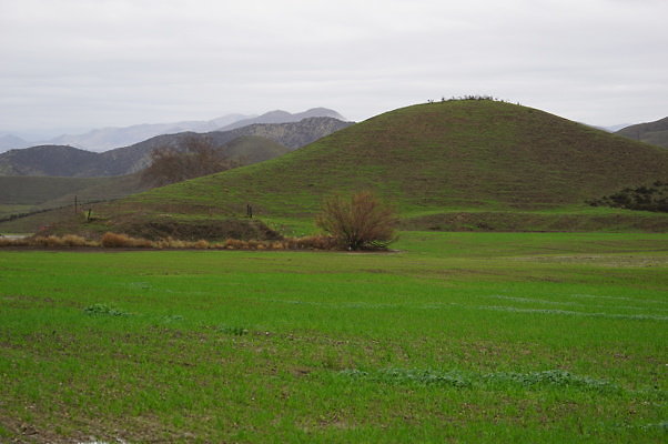 DSC07980