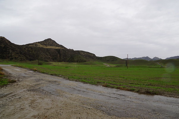 DSC08000