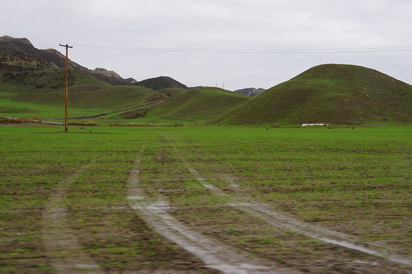DSC08023