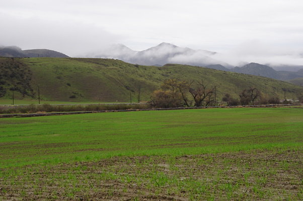 DSC07991