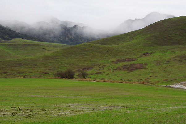 DSC08039