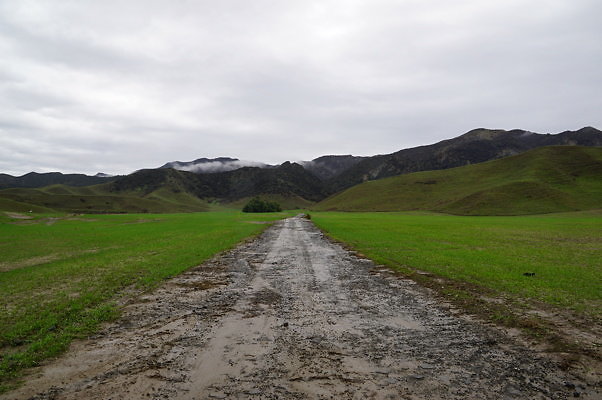 DSC08041