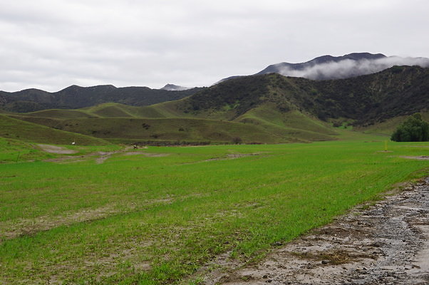 DSC08044