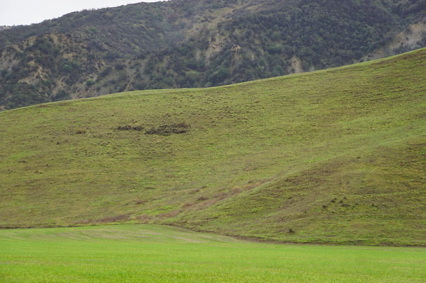 DSC08051
