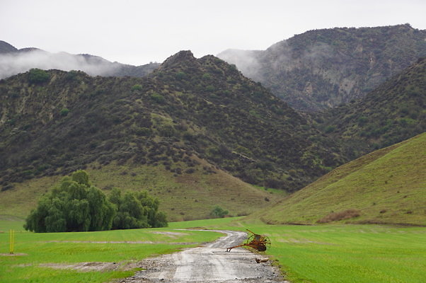 DSC08050
