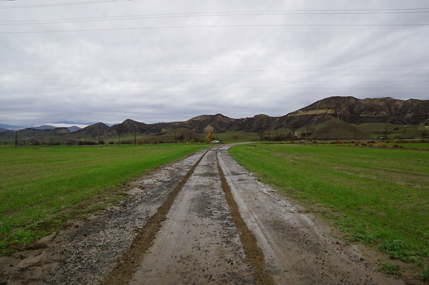 DSC08056