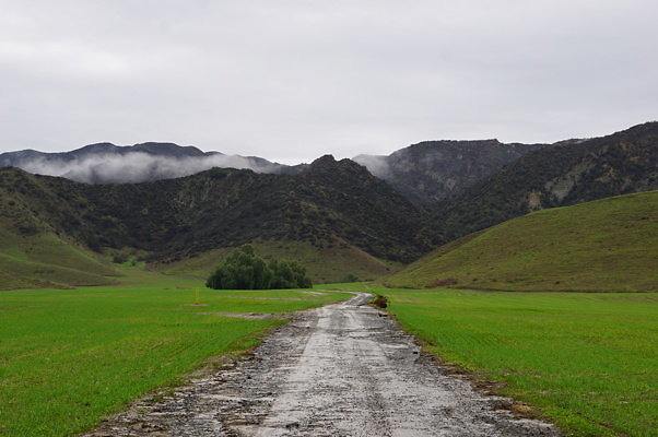DSC08053