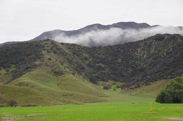 DSC08049