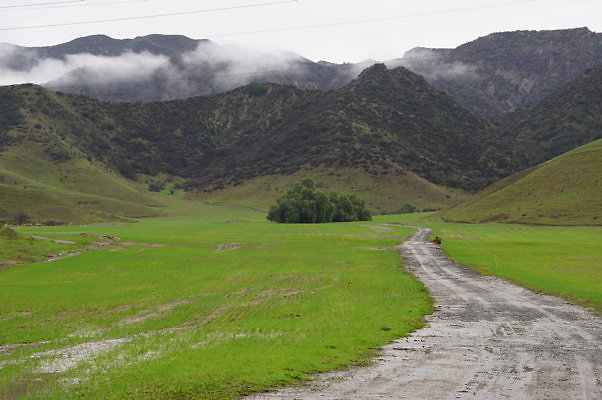 DSC08035