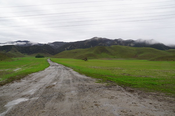 DSC08031