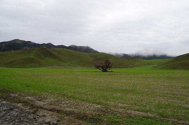 DSC08042