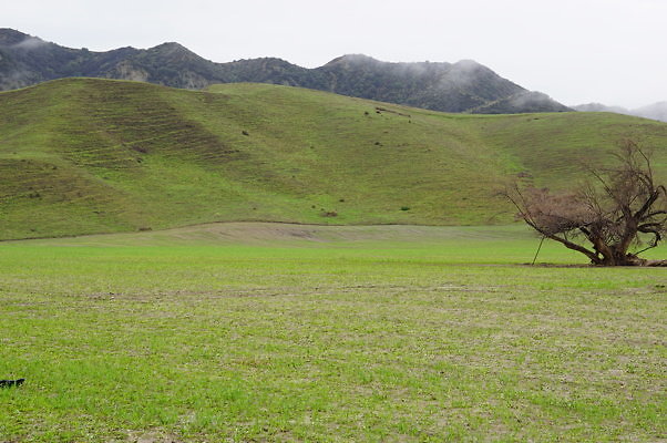 DSC08047