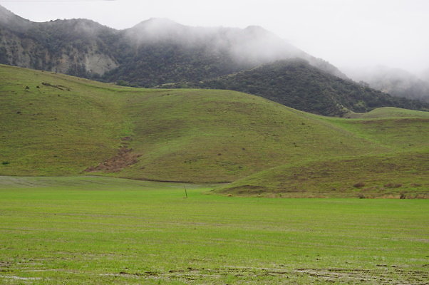 DSC08038